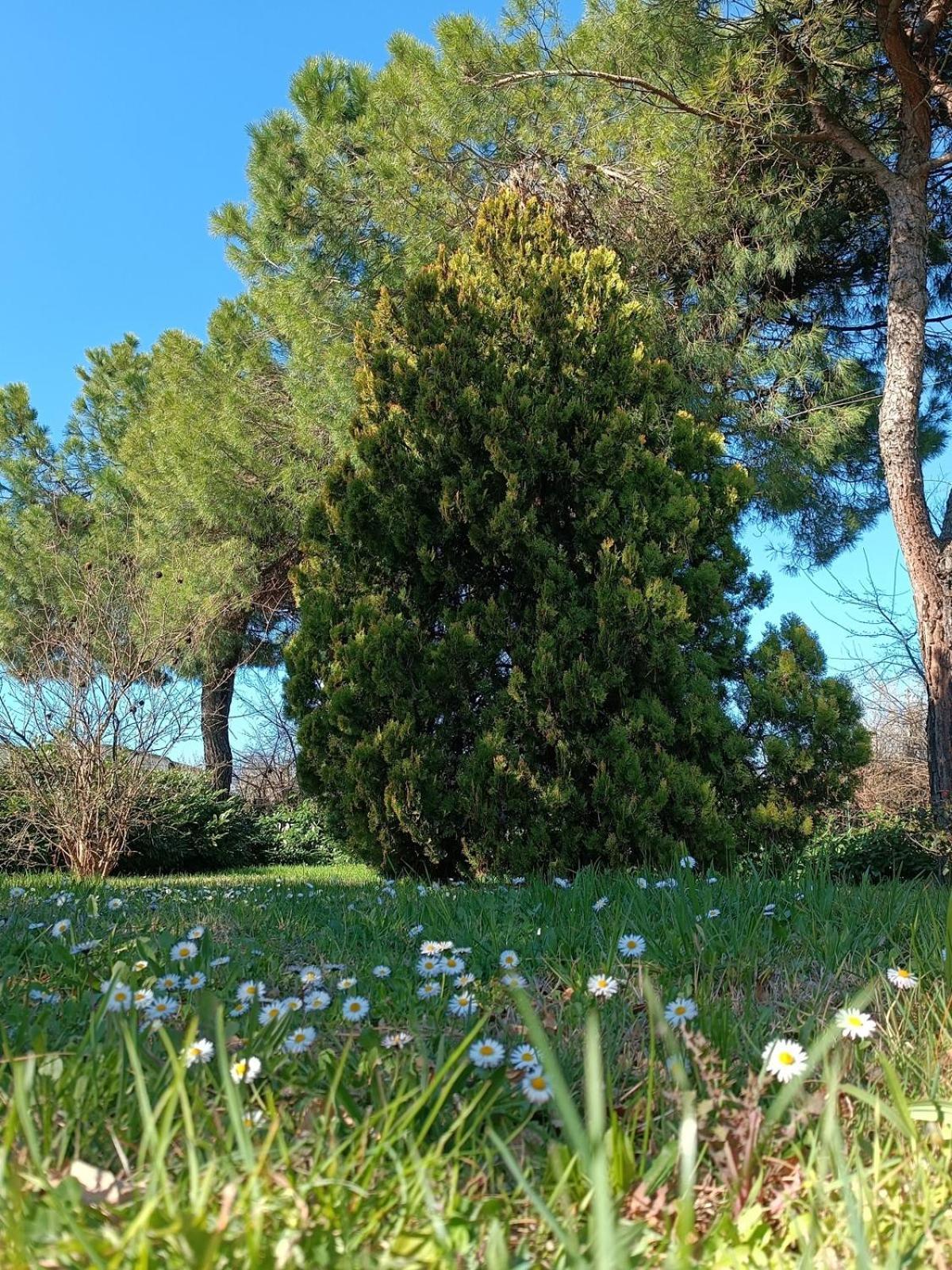 Capricornio Club Diffuso Casa Carlotta Villa Santa Maria della Versa Kültér fotó